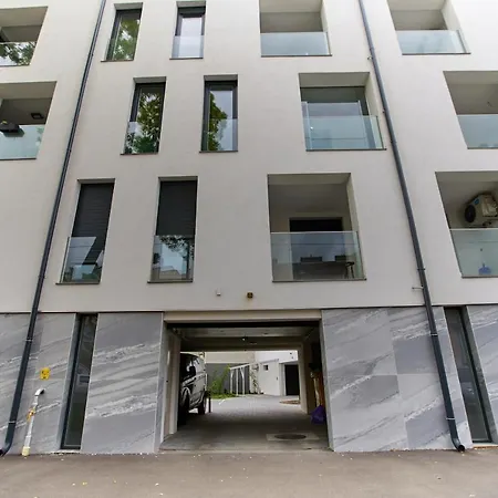 Starlight Bronze Szeged- Exclusive *